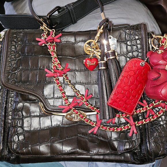 Coach Fanatic - Picture 3 of 3